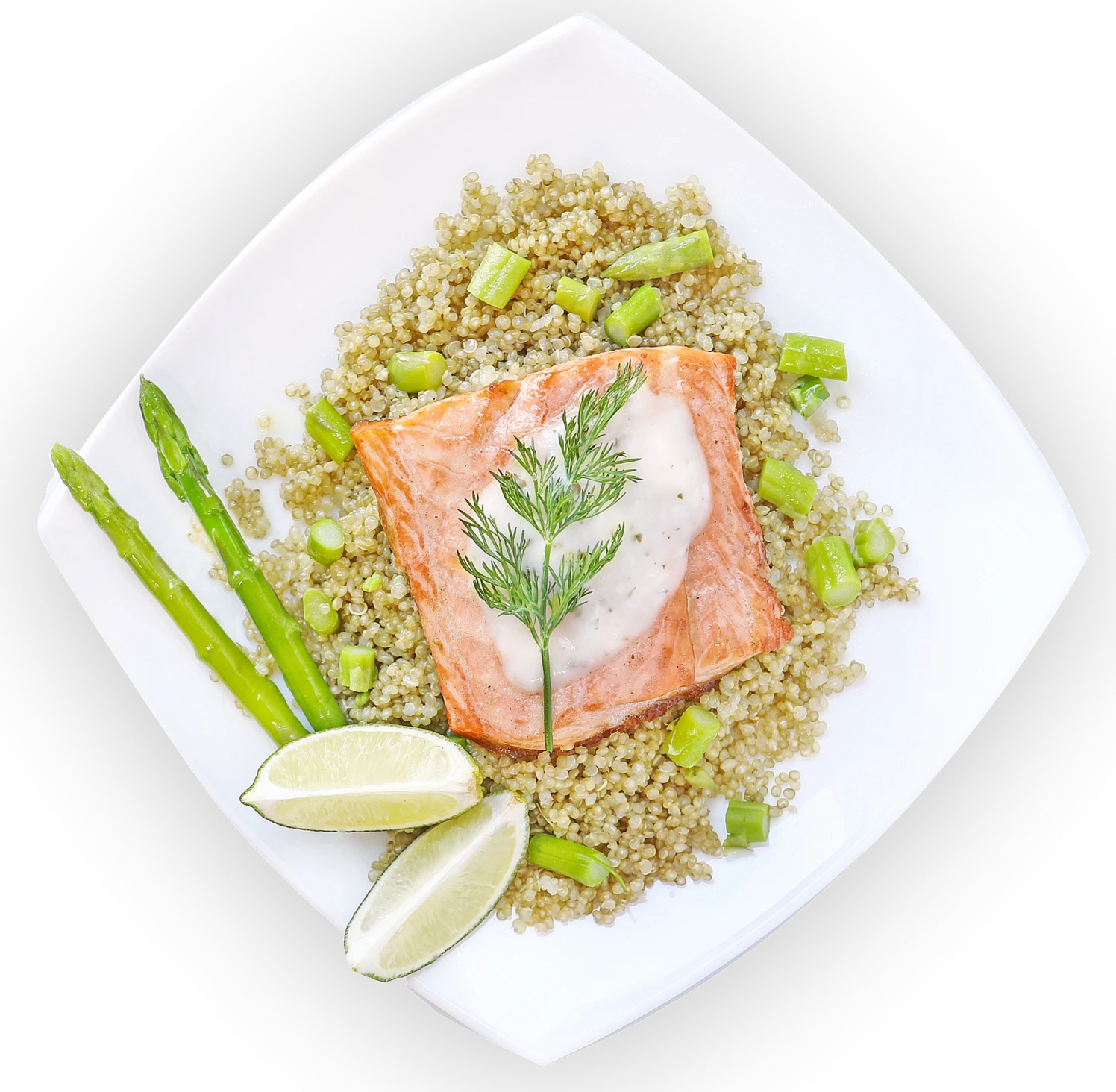 Chef-prepared signature meal plated fresh
